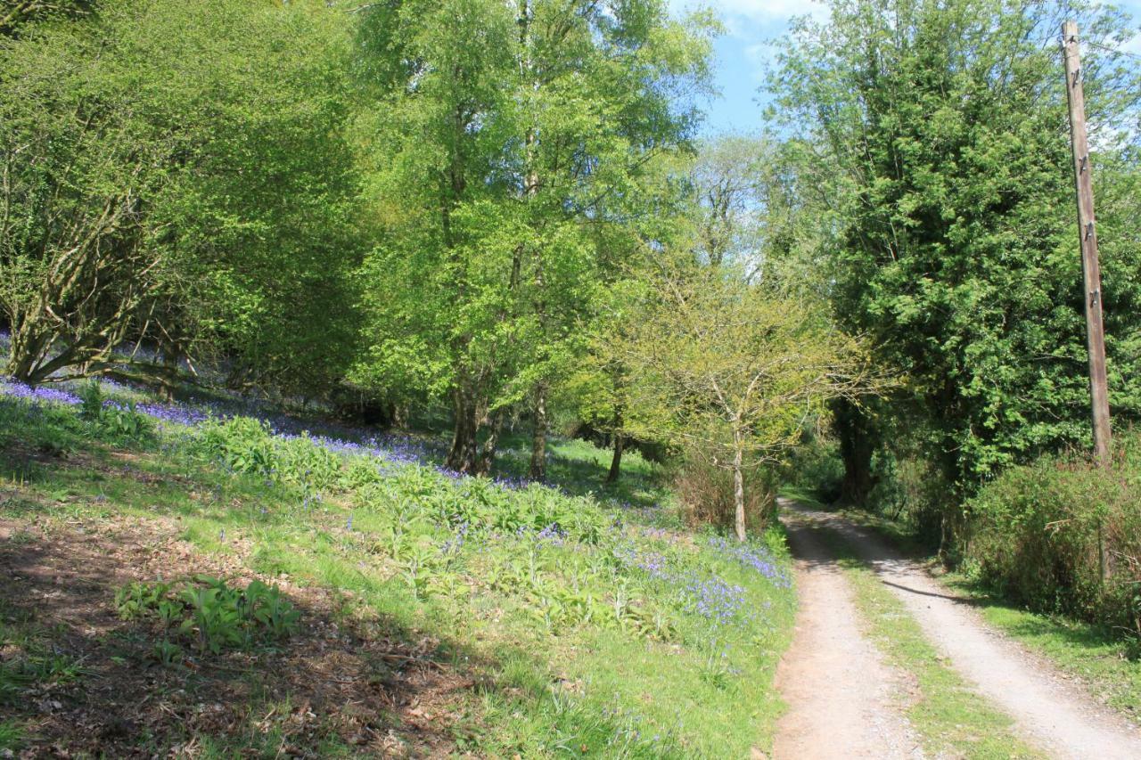 Church Hill Farm Monmouth Bagian luar foto