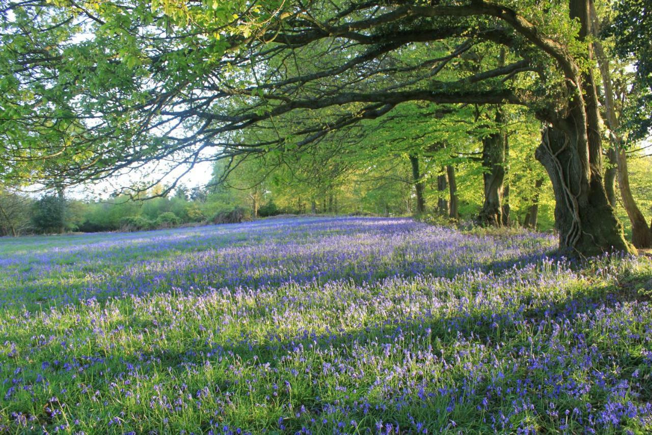 Church Hill Farm Monmouth Bagian luar foto